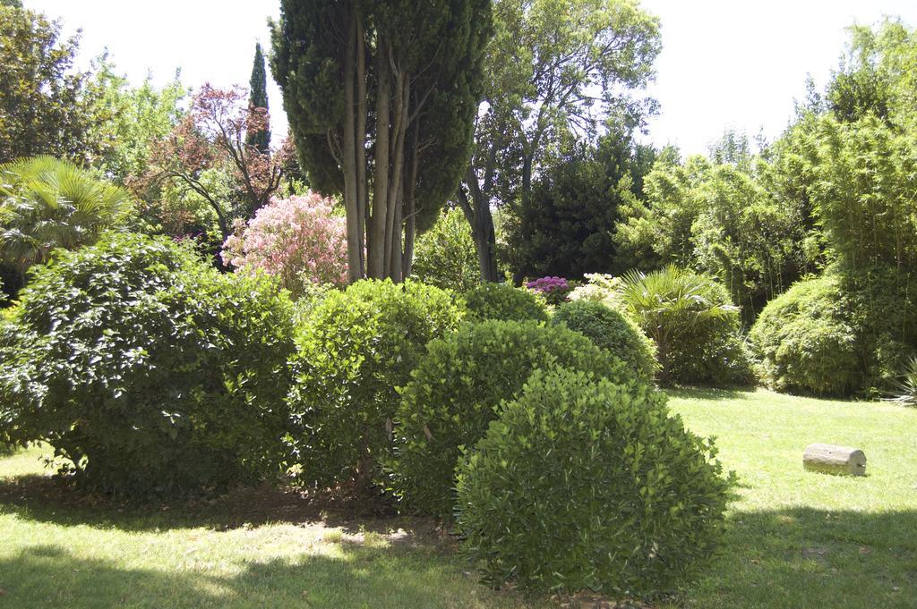Ferrand