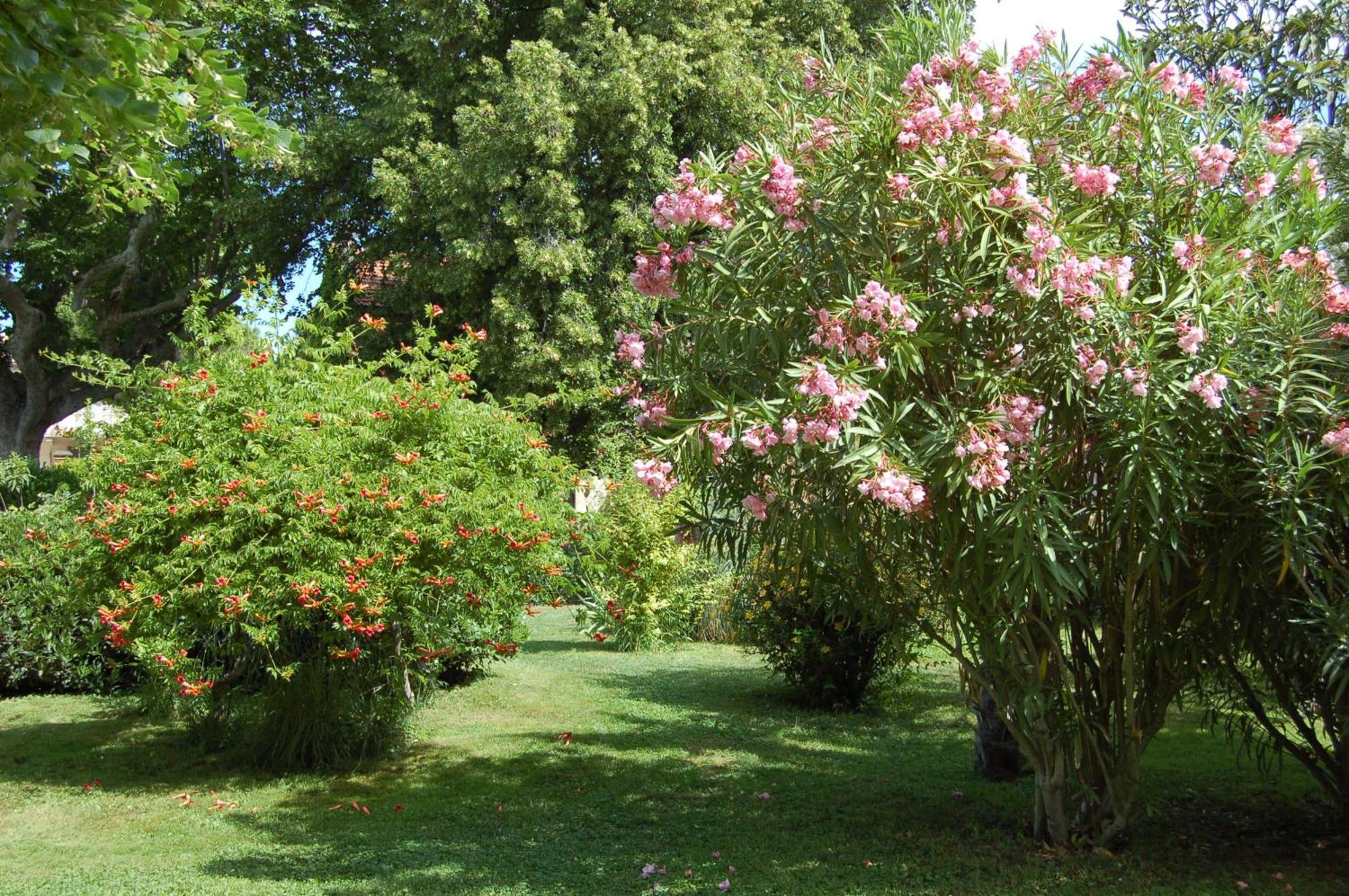 Bed and breakfast Ferrand