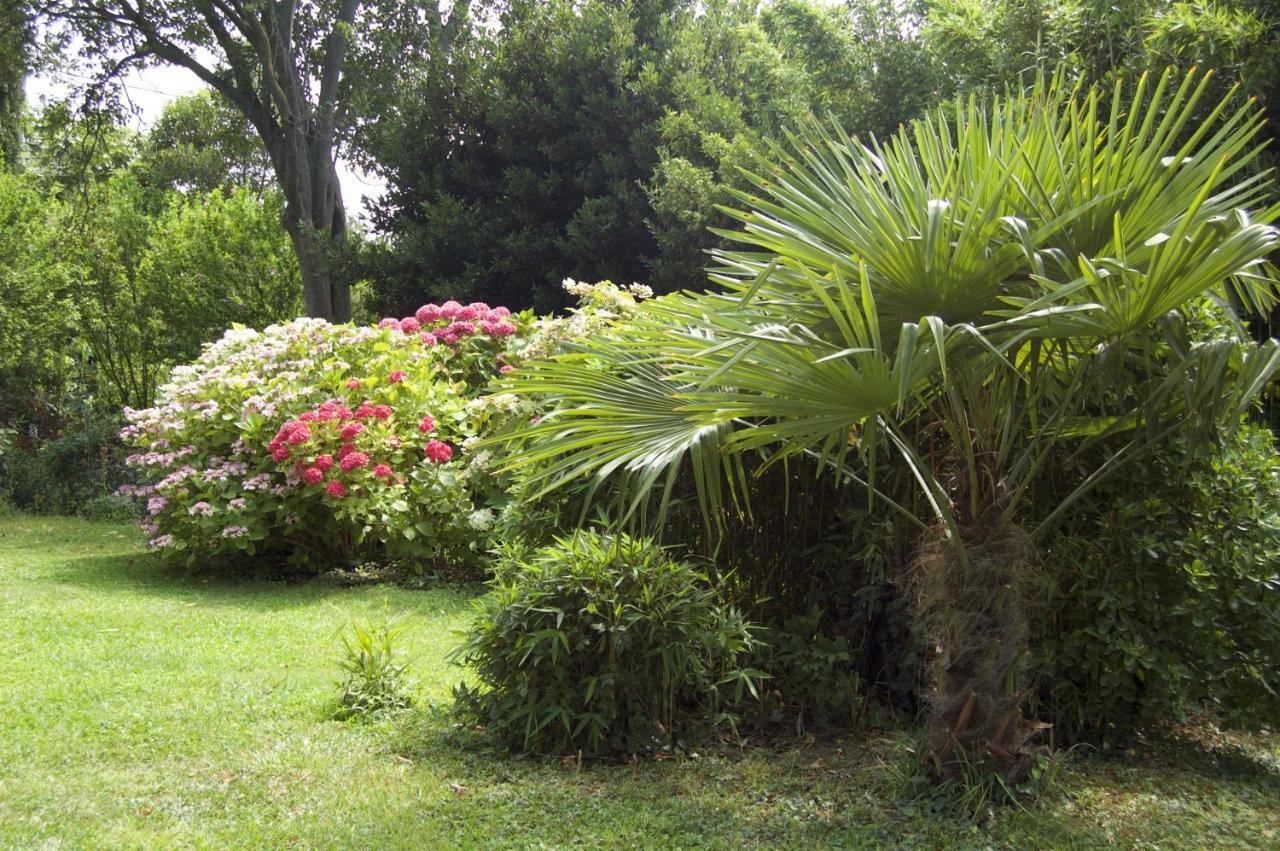 Bed and breakfast Ferrand